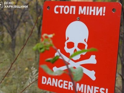 На Сумщині чоловік підірвався на російській міні