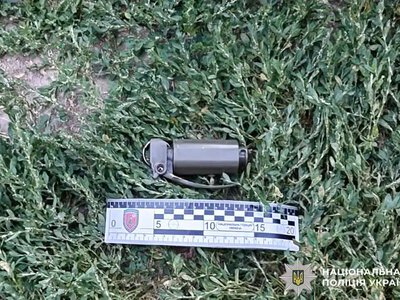 Головні новини Рівненщини: граната у Квасилові, 14 гектарів у вогні, пінгвіни з Антарктики та ветеранський бізнес