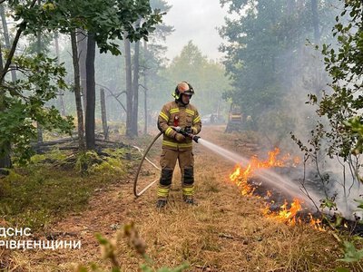 На Рівненщині горить ліс: поблизу Мостів вогонь охопив близько 2 гектарів