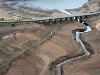 Масштабна криза в Європі: рекордна посуха загрожує енергетиці, агросектору та життю людей