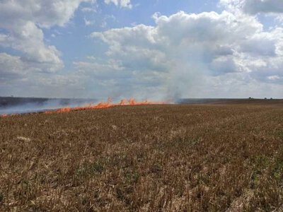 На Волині трапилось дві пожежі стерні: працювали рятувальники