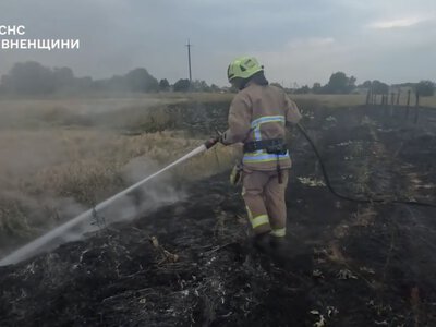 Сухостій і торф знову горять на Рівненщині: за добу дев’ять пожеж