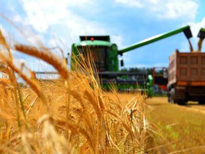 У серпні експорт агропродукції з України обвалився майже на 60%