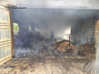 На Прикарпатті горів  сушильний цех деревообробного підприємства