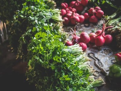 Де у Києві сьогодні купити фермерські продукти: адреси ярмарків 18 серпня