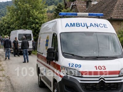 У Рахові мікроавтобус збив 10-річну дівчинку