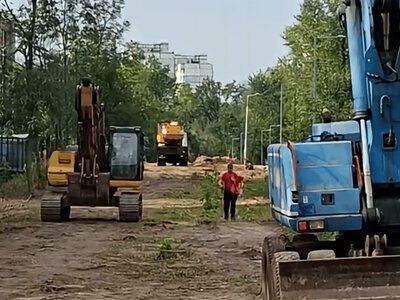 На Теремках відновили роботи, попри обіцянку на два тижні призупинити вирубку дерев — активістка