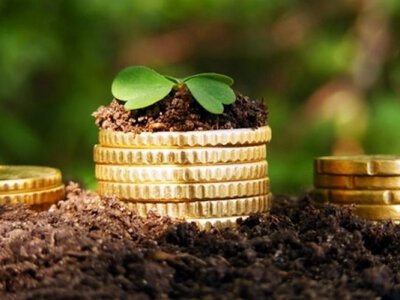 Агрофірми із Закарпаття та Одещини заборгували Долинській громаді понад 180 тис. грн за оренду землі