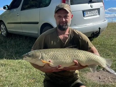 «Це акула просто»: амура вагою 10,5 кг упіймали на Рівненщині (ВІДЕО)