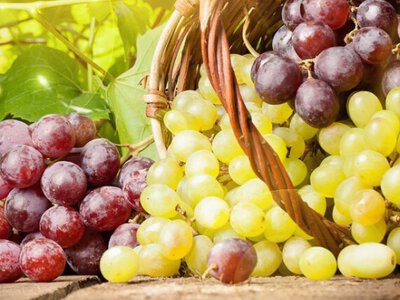 Лікарі назвали хвороби, які лікує виноград
