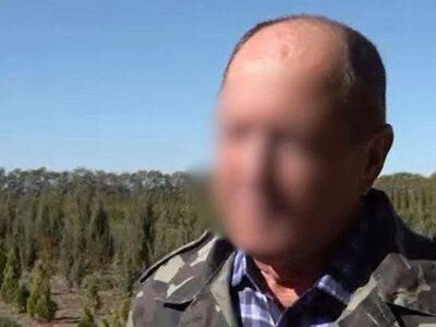  Жителя Херсонщини засудили до 15 років ув’язнення за роботу в окупаційному лісомисливському господарстві 