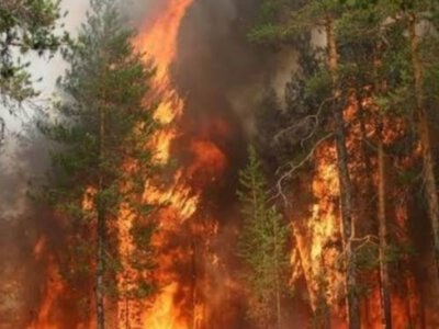 Пікніки під забороною: на Київщині оголосили надзвичайний рівень пожежної небезпеки
