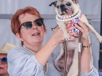 Найпотворніший собака у світі – хто переміг на ювілейному 50-му конкурсі (фото) (Відео)