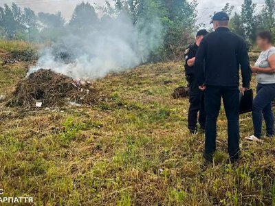 Жительку Тячева оштрафували на 3 тисячі гривень за спалювання сухостою (ФОТО)