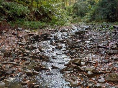 Мигівка: річка, яка «обіймає» Мигове та несе крізь Карпати історію Буковини