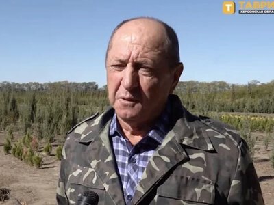 Працівника окупаційного лісгоспу зі Скадовська засудили до 15 років - Херсон Daily