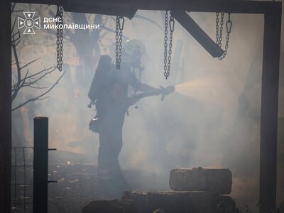У Миколаєві загасили масштабну пожежу, але до будинків вогонь таки дійшов і 2 зачепив