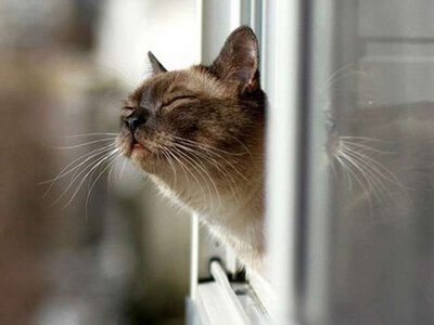 Погода на 19 серпня: В Україні до 30°, місцями короткочасні дощі