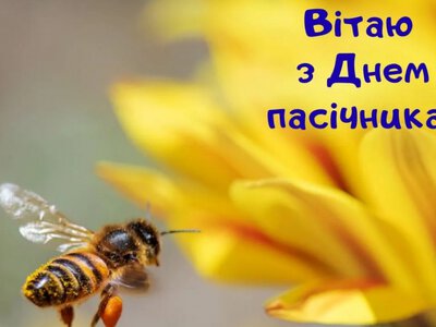 19 серпня — День пасічника: як українці відзначають професійне свято