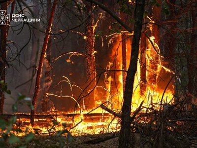 На Черкащині триває ліквідація масштабної лісової пожежі