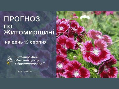 Погода сьогодні на Житомирщині
