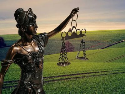 Спадкування землі іноземцями: головні обмеження та нюанси
