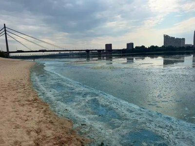 Дніпро в Києві позеленів і вкрився піною: фахівці пояснили, що відбувається