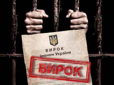 Спроба списати держзраду на власну дурість коштувала миколаївцю свободи