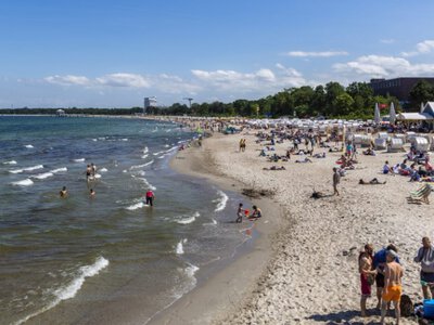 Північне море прогрілося до рекордної температури за понад 40 років