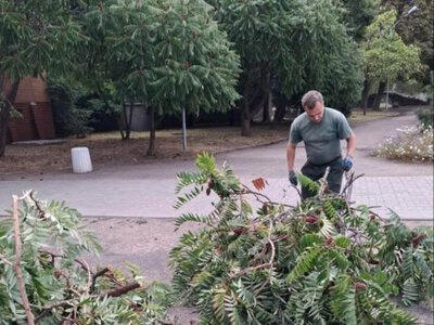 Комунальники усували наслідки негоди у Черкасах