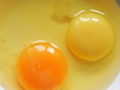 Чи може колір жовтка впливати на якість яєць: експерти розвінчали міфи