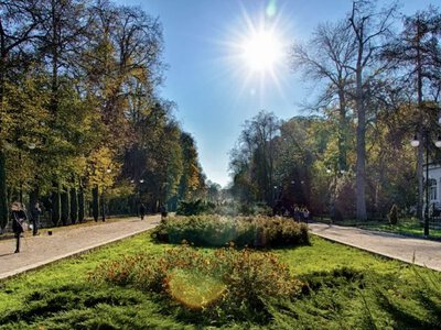 В Івано-Франківську планують облаштувати близько 20 нових зелених зон