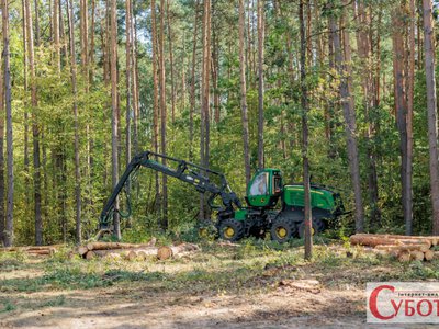 16 годин на тиждень: на Житомирщині дозволений самостійний збір деревини — графік і правила