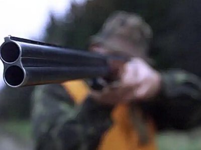 На Хмельниччині знайшли двох загиблих собак із вогнепальними пораненнями: розпочато розслідування