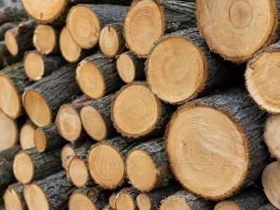 У громаді на Чернігівщині пояснили, як формуватимуть списки на дрова цієї осені