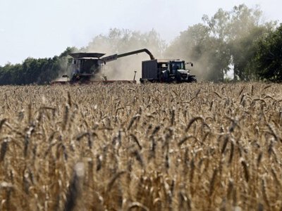 Мінагро: У серпні Україна експортувала 900 тисяч тонн продукції