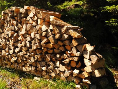 «Карітас» відкрив реєстрацію на дрова та оплату комунальних послуг: хто може отримати