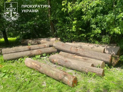 На Вишнівеччині незаконно зрубано 694 дерева різних порід