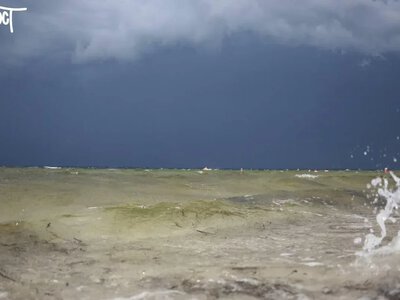 В Азовському морі зафіксували перевищення кадмію, свинцю та міді