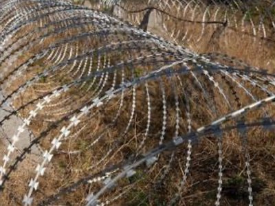 Розкладати «єгозу»: заробітки на Чернігівщині