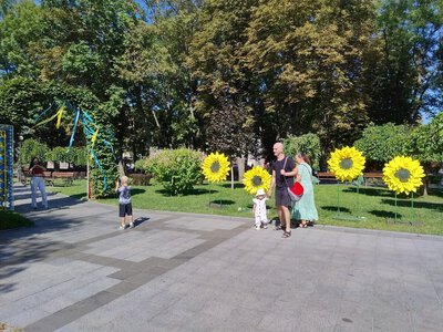 До Дня Незалежності у центрі Кременчука встановили фотозону із соняшниками