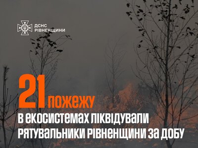 На Рівненщині за добу вигоріло понад 11 гектарів сухої рослинності