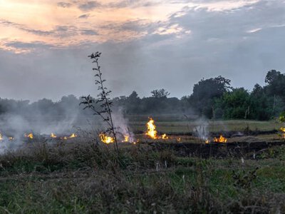 На місці події виявили тіло чоловіка: що відомо про пожежу в Іршаві — PMG.ua