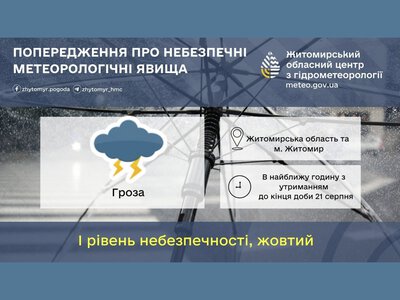 Гроза накриє Житомир та область у найближчу годину — ГМЦ