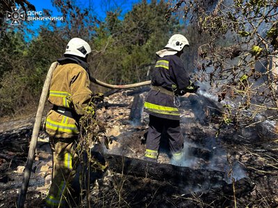 На Вінниччині за добу сталися три пожежі у приватному секторі: в одному випадку вогонь спричинили діти