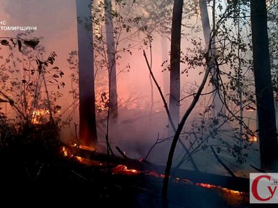 На Коростенщині понад 50 людей залучили до гасіння пожежі в заповіднику