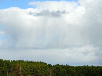 Гроші за знищені посіви: чи компенсуватиме уряд аграріям воєнні втрати