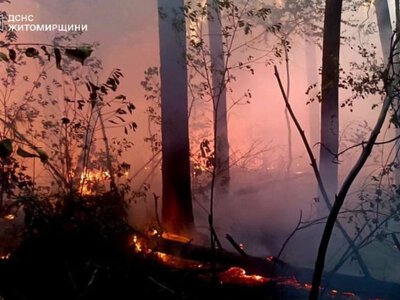 На Житомирщині горить ліс на території заповідника Древлянський