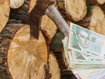 По 19 400 гривень на домогосподарство: у Шосткинській громаді стартувала реєстрація на отримання грошей для придбання дров