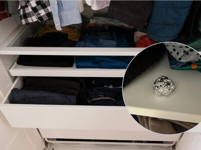 Міль у шафі не любить цей запах: простий спосіб захистити одяг без дорогих засобів